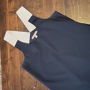 Banana republic navy tank